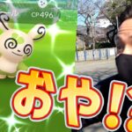 リベンジ！バレンタイン色違いパッチール！今年こそは絶対に…！？【ポケモンGO】