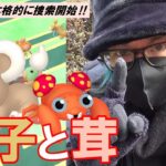 【ポケモンGO】色違えシシコ＆パラス！過去最大級にチャンスが多い野生を大捜索！色違いニャスパーもタスクとレイドから果敢に狙い散らしていくスペシャル！【旧正月2日目】