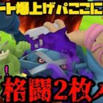 【ポケモンGO】レート爆上げパーティ、ここに再臨！今こそ格闘2枚パ！【ハイパープレミアクラシック】