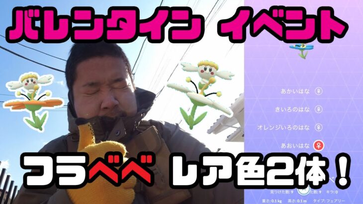 【ポケモンGO】バレンタインイベント！フラべべのレア色2体を求めて