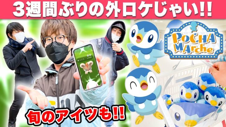 【ポケモンGO】代々木公園はシシコの巣！3週間ぶりにヒスイ地方から現実世界へ…！色違いを狙ってまったりポケ活！ポッチャマルシェも行ってきた！