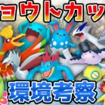 【ポケモンGO】ジョウトカップ環境考察！注目は●●タイプか？！かなり活躍の種類が豊富な環境に！【GOバトルリーグ】