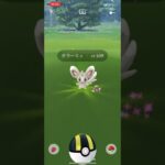 【ポケモンGO】念願のチラーミィーをゲット‼︎＃Shorts ＃ポケモンGO