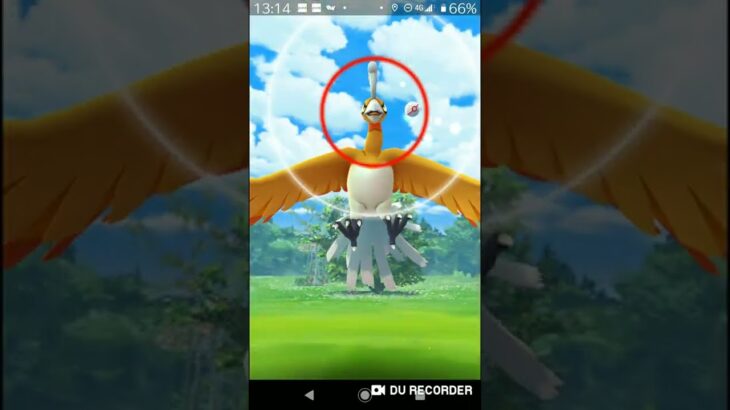 【ポケモンGO】色違いホウオウgetチャレンジ。