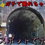 心霊スポットで10キロタマゴ9連【ポケモンGO】