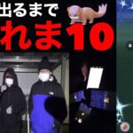 【ゼウス】色違いヤングース実装！色違い出るまで帰れま10【ポケモンGO】