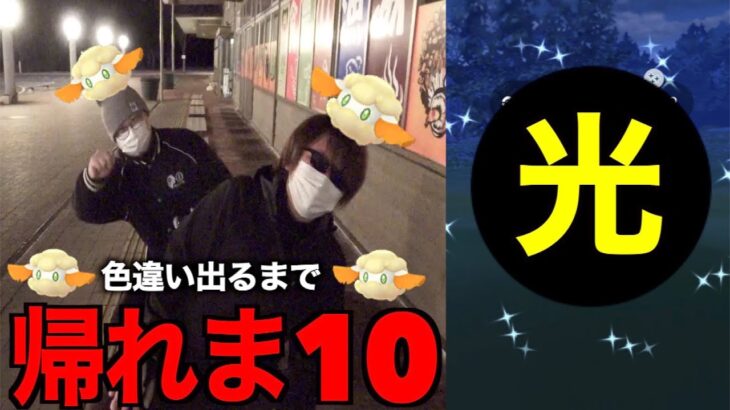 【パーフェクトゼウス】色違いモンメン実装！色違い出るまで帰れま10【ポケモンGO】