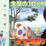 ついに時はきた！10KMタマゴ9連＋12KMタマゴ3連で色違いイワンコとジャラコが欲しい！【ポケモンGO】