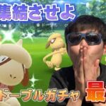 運を集結！80連の恨みを…。色違いドーブルチャレンジ・ラストチャンス編！【ポケモンGO】