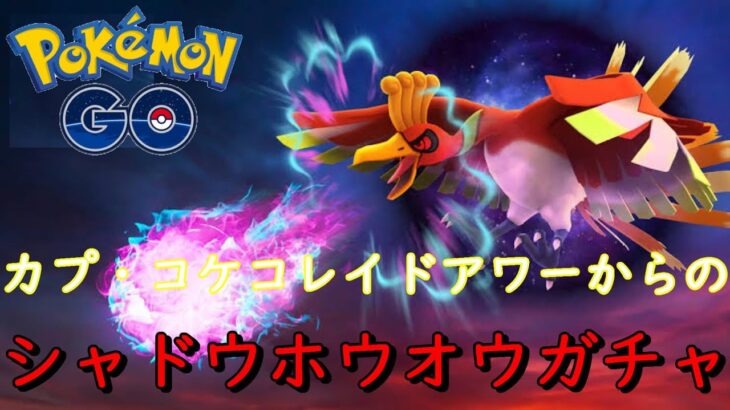 カプ・コケコレイドアワー&シャドウホウオウAPEX個体値ガチャ【ポケモンGO】