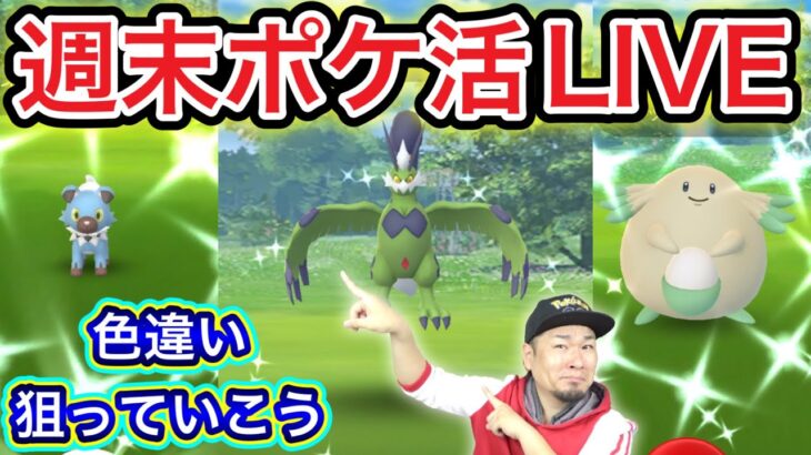 トルネロスとイワンコとラッキーの色違い欲しい【ポケモンGO】