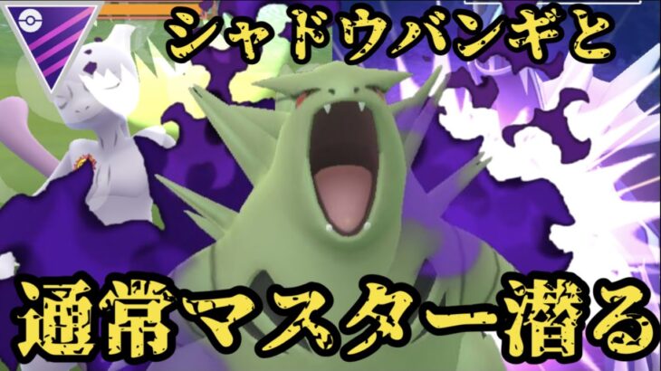 【ポケモンGO】シャドウバンギと通常マスターへ！