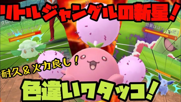 【ポケモンGO】リトルジャングルの新星！耐久＆火力ばっちりの色違いワタッコが活躍する！？【リトルジャングルカップ】