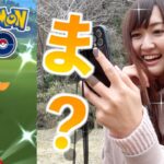 公園スポットライト初開催でモンメン湧きは如何なるものか？モンメンは光申すのか？【ポケモンGO】