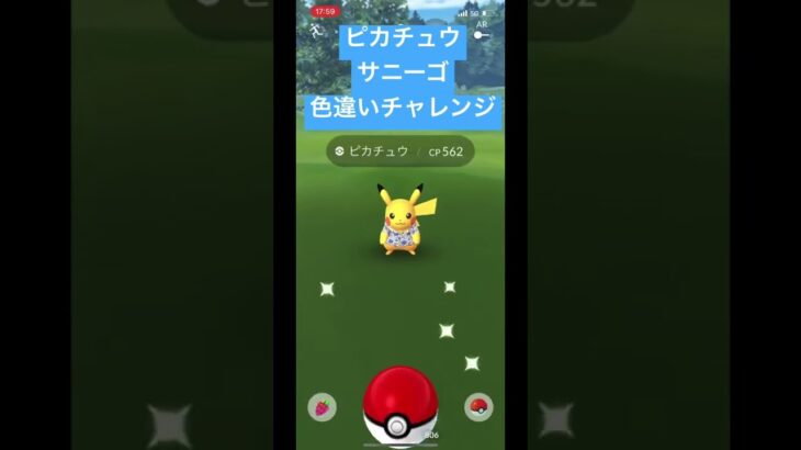 【ポケモンGO】サニピカ色違いチャレンジ！👌