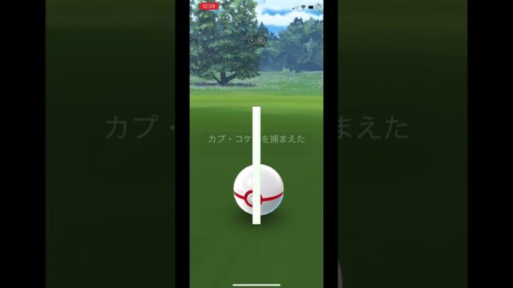 【ポケモンGO】レイド「カプ・コケコ」