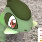 【ポケモンGO】只今激レア湧き中！？あのキバゴや〇〇超個体とあの色違いもやってきた・・！【アローラシーズン・色違いポケモン・ニアバイ・ワシボン】