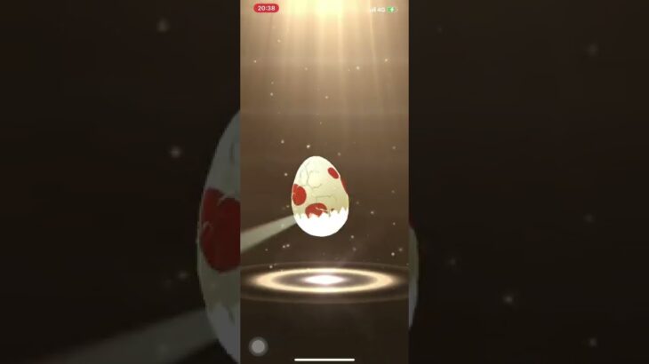 ポケモンGO❗️12km🥚から個体値100%コマタナ出現😍ヤッタネ〜👍