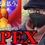 【ポケモンGO】シャドウホウオウ・APEX出現！最初で最後の個体値100％チャンス！色違いヤングースを探しながらタスク消化しまくった結果に全米震撼スペシャル！【無料チケット】