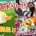 公園スポットライト！！モンメン色違いを狙え！！GOラボカップ開催！調査結果！！！【ポケモンGO】