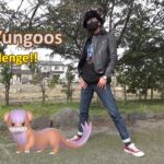 【ポケモンGO】色違えヤングース！うろつきポケモンが輝く瞬間を激写せよ！GOバトル・デイ「パウワウ」の前日確認もやっちゃいまスペシャル！【今追うべき野生】