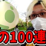 卵割100連!!色違い、100%リオル狙い!!2たまから産まれる割合が分かりました!!【ポケモンGO】