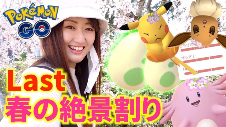 春絶景割り最終章!! 色違いと100%降臨?!【ポケモンGO】