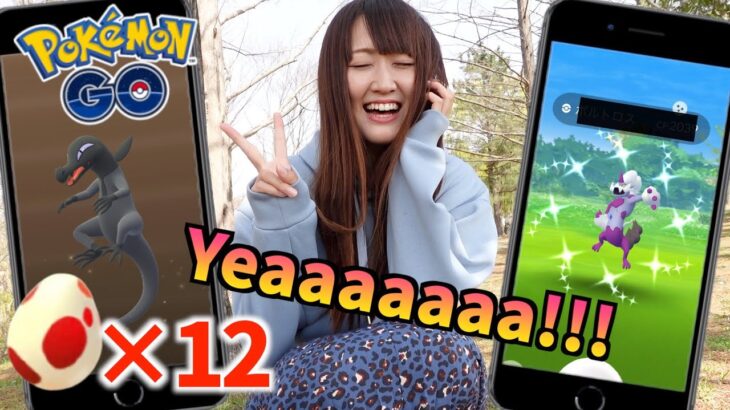 12タマ12連でエンニュート狙いながら、ボルトロス色違いも狙うYaaaa!!!【ポケモンGO】