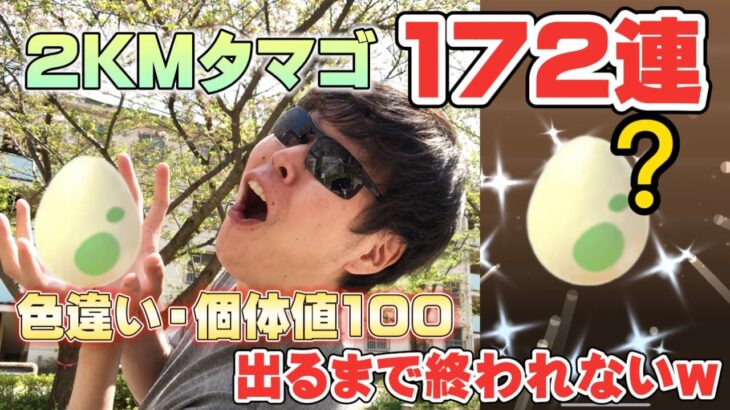 2KMタマゴ172連で色違い・個体値100出るまで割ったら○○が出すぎたｗ春イベント【ポケモンGO】