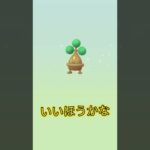 5キロたまごガチャ【ポケモンGO】