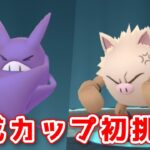 【生配信】今更ながらキャッチカップに挑戦！ #795【ポケモンGO】