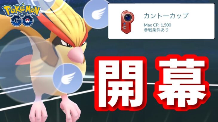 【生配信】久しぶり！カントーカップと言えばピジョット！ #812【ポケモンGO】