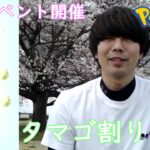 春イベント開催☆タマゴ割り87連【ポケモンGO】
