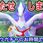 今更シャドウルギアAPEX獲得でございますの結果【ポケモンGO】