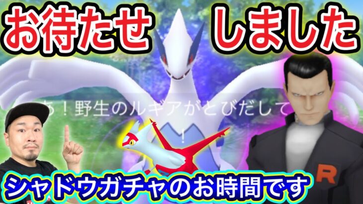 今更シャドウルギアAPEX獲得でございますの結果【ポケモンGO】