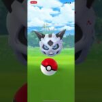 ポケモンGO 野生のオニゴーリ❗️👀