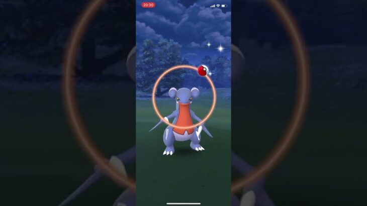 ポケモンGO 野生のガバイト❗️👀