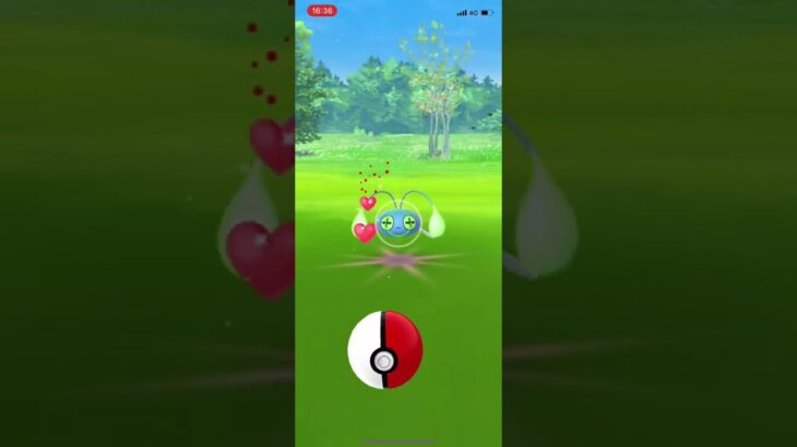ポケモンGO チョンチーの色違い❗️👀