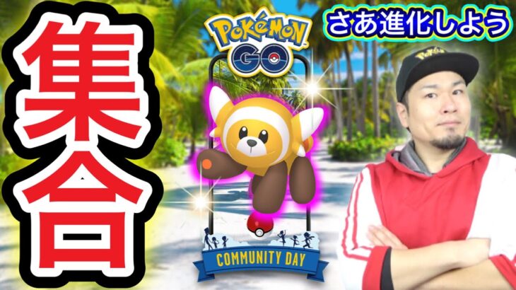 コミュデイ！キテルグマ進化忘れずに！みんなの結果発表！【ポケモンGO】