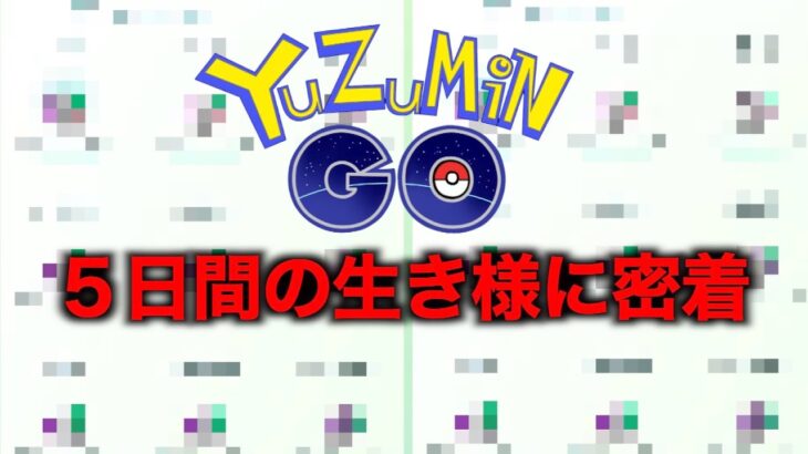 たくみんと男の勝負をする時がやってきました【ポケモンGO】