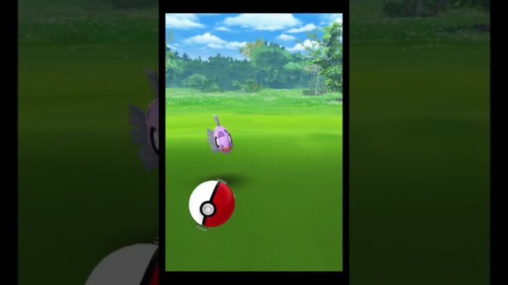 【ポケモンGO】色違いヒンバス初ゲット❗️