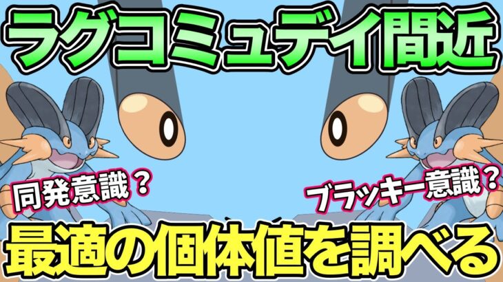 ラグラージの個体値を調べる！やつあたり消去＆アンドコミュデイの準備【 ポケモンGO 】【 GOバトルリーグ 】