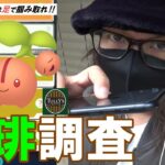 【ポケモンGO】輝きは突然に！？色違えチェリンボ！パートナーリサーチ第2弾「タリーズ」を進めながら怒涛のさくらんぼ狩りスペシャル！【サステナ2日目】