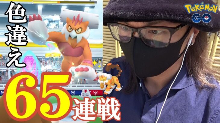 【ポケモンGO】色違え霊獣ランドロス第3章！意地っ張りおじさんはどっちだ65連戦！アメXLを貯めながら色違いと個体値100％を執拗に狙っていくスペシャル！【吉野家完結編】