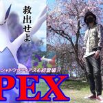 【ポケモンGO】豪華版！「シャドウルギア・APEX」と「シャドウラティアス」を救いたい！闇に堕ちた伝説のポケモンたちを救うべく金沢の傾奇者が立ち上がった！【サカキ登場】