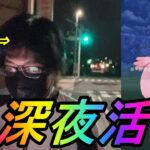 【ポケモンGO】深夜にポケモンGOやってみたらただの不審者になってしまった人生【春イベント編】