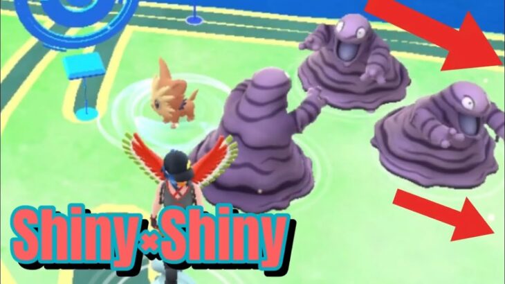 色違いは矢印の方向…⁉️【ポケモンGO】Shiny×Shiny