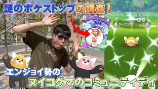 No.1エンジョイ勢のヌイコグマのコミュニティデイ！謎のポケストップの調査も！色違いや神個体は！？新実装コミュデイ【ポケモンGO】