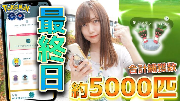 最終日！合計5000匹越え！色違いのカメテテ狙って最後まで頑張るぞお！【ポケモンGO】