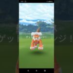 ポケモンGO ランドロスのレイドバトルに挑戦！？